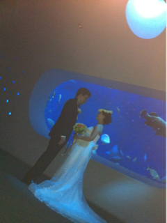 image-20110725144641.png