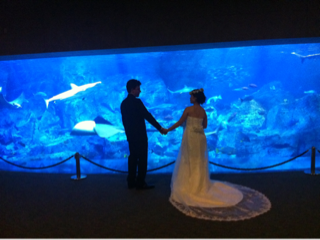 image-20110725144733.png