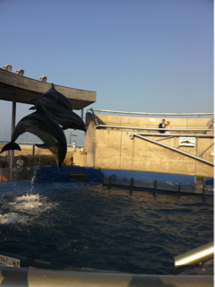 image-20110725144943.png