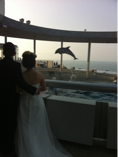 image-20110725145036.png