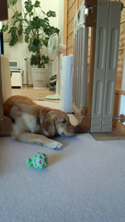 image-20130928113914.png
