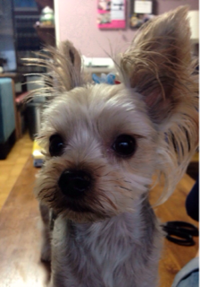 image-20131002200339.png